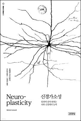 신경가소성
