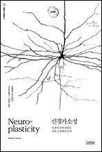 신경가소성