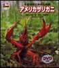 DVD圖鑑   5 アメリカザリガニ