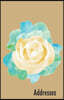 Addresses: Gold Mint Green Floral Contact Journal, Green and Gold Flowers Addresses Phone Numbers Email Notebook
