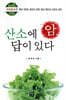 암 산소에 답이 있다