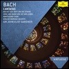 Ruth Holton 바흐: 칸타타와 모테트 (Bach: Cantatas)