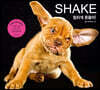 SHAKE 힘차게 흔들어!
