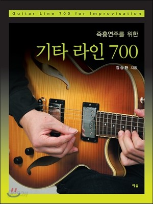 기타 라인 700