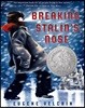 Breaking Stalin's Nose