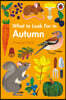 What to Look For in Autumn