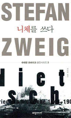 니체를 쓰다