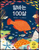 알바는 100살