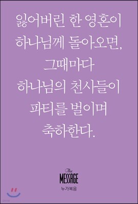메시지 누가복음 (미니북)