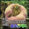 2019 오세아니아 역사문화기행 시리즈: 솔로몬 제도