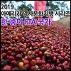 2019 아메리카 역사문화기행 시리즈: 한-중미 자유무역협정(FTA) 국가