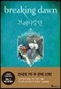 브레이킹 던