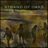 Strand Of Oaks - Leave Ruin (Ltd. Ed)(MP3 Download)(Moss Green LP)