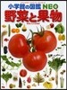 野菜と果物