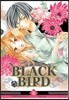 블랙 버드 (BLACK BIRD) 16