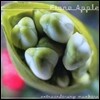 Fiona Apple - Extraordinary Machine