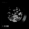 Loma Prieta - Continuum / Fate (7 inch Single LP)
