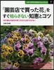 「園芸店で買った花」をすぐ枯らさない知惠