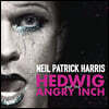 뮤지컬 헤드윅 OST - 2014 브로드웨이 닐 패트릭 버전 (Neil Patrick Harris - Hedwig and the Angry Inch) [베이비 핑크 컬러 LP]