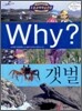 Why? 와이 갯벌