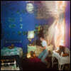 Weyes Blood (와이즈 블러드) - Titanic Rising [LP]