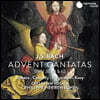 Philippe Herreweghe 바흐: 강림절 칸타타 (Bach: Advent Cantatas BWV36, 61, 62)