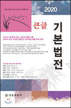 2020 큰글 기본법전