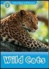 Read and Discover 1: Wild Cats