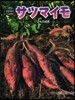 サツマイモ いもの成長