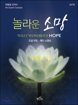 놀라운 소망