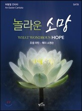 놀라운 소망
