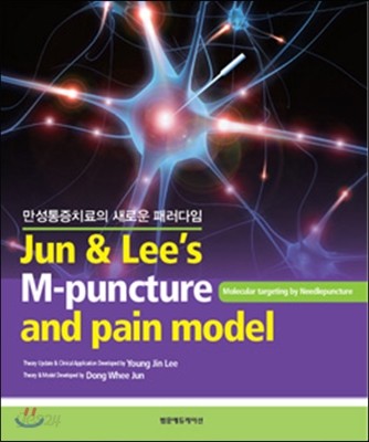 Jun &amp; Lee&#39;s M-Puncture &amp; pain model