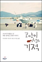 고양이 섬의 기적