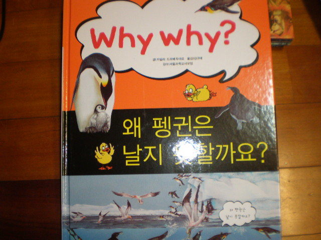 why why?왜 펭귄은 날지 못할까요?