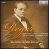 레거: 관현악과 실내악 작품집 (Reger Collection)