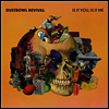 Dustbowl Revival - Is It You, Is It Me (CD)