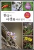 한국의 야생화 바로 알기