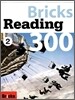 Bricks Reading 300 L2