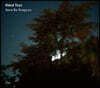 Oded Tzur (오데드 추르) - Here be Dragons