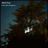 Oded Tzur (오데드 추르) - Here be Dragons [LP]