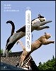 고경원의 길고양이 통신