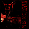 Pig Destroyer - 38 Counts Of Battery (LP)