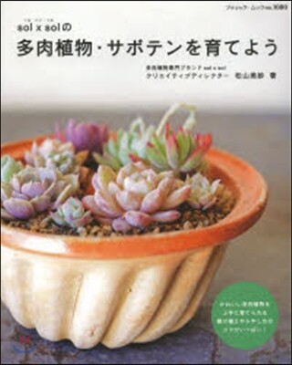 solxsolの多肉植物.サボテンを育てよう