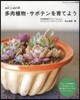 solxsolの多肉植物.サボテンを育て