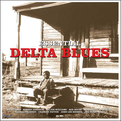 델타 블루스 명곡 모음집 (Essential Delta Blues) [LP]