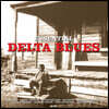 델타 블루스 명곡 모음집 (Essential Delta Blues) [LP]