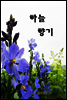 하늘 향기