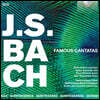 Pieter Jan Leusink 바흐: 칸타타 19곡 모음집 (Bach: Famous Cantatas)