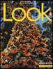 LOOK 1: Workbook
