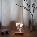 두루미와 소나무 아크릴 무드등 만들기 패키지 DIY
